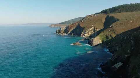 Overhead View Of Dense Forest With Green Foliage In Summer. - aerial Video stock 252833551