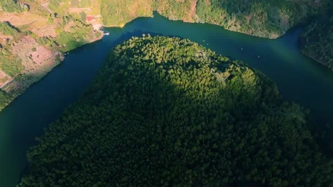 Overhead View Of Dense Thicket Over Mountains. Aerial Drone Shot Stock Footage 252269297