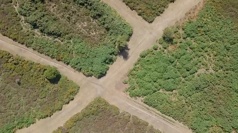 Overhead view of dirt roads and heather in Woodbury, East Devon in England. Stock Footage 93426809