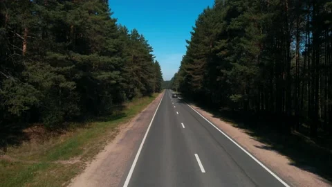 Overhead view from drone of roadway in middle of great pine forest on sunny Stock Footage 145689357