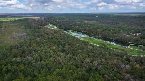Overhead view of Floria Landscape - Seminole State Preserve Stock Footage 255498577