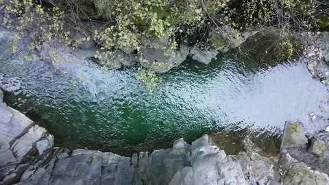 Overhead view of forest canopy and river patterns Stock Footage 331900780