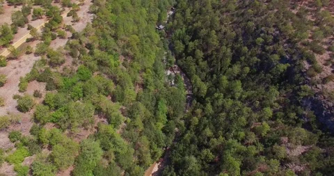 Overhead View of Forest Grand Canyon in Lijiang Yunnan China 스톡 동영상 336881565