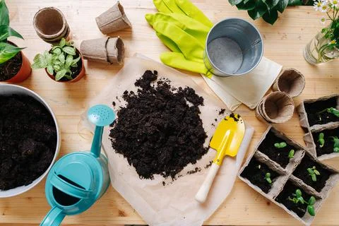 Overhead view of a gardner table with soil, seedlings and tools. Stock Photos