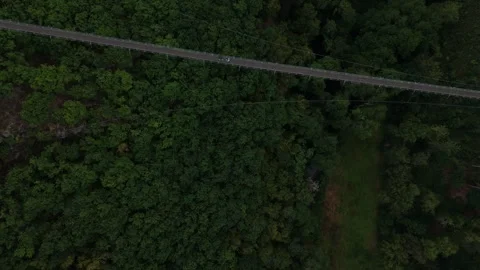 Overhead view of Geierlay bridge crossing forest clearing Vídeo Stock 340367922