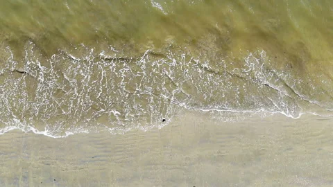 Overhead View of Gentle Waves on Sandy Beach. Aerial perspective of small waves Stock Footage 293681441