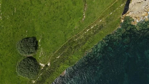 Overhead view of green meadow next to the cliff overlooking the sea Stock Footage 166200058
