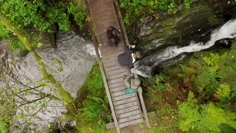 Overhead view group of tourists walking cinematic wet wooden bridge over river Video stock 166876519