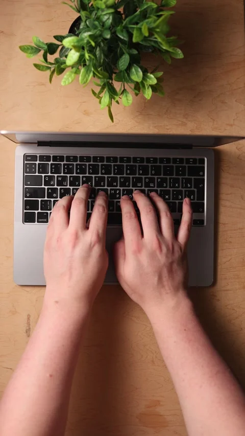 Overhead view of hands typing on a laptop keyboard with a small plant Vidéo 341737900