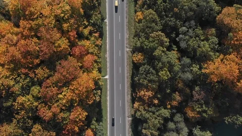 Overhead view of highway in autumn forest Video stock 116551534