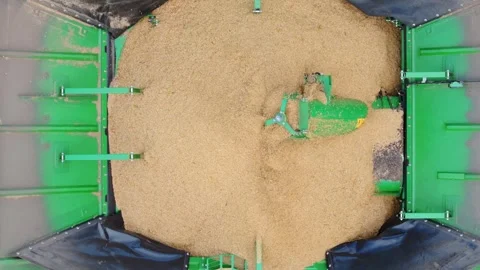 Overhead view inside grain cart, rotating agitator moves wheat Stock Footage 324795647