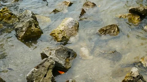 Overhead view of large light and dark brown  rocks in shallow water with small w Stock Footage 268434730