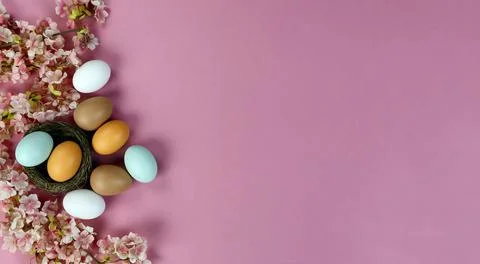 Overhead view of light artificial cherry blossom flowers with colorful eggs Stock Photos