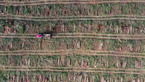 Overhead view of logging truck Stock Footage 172559599