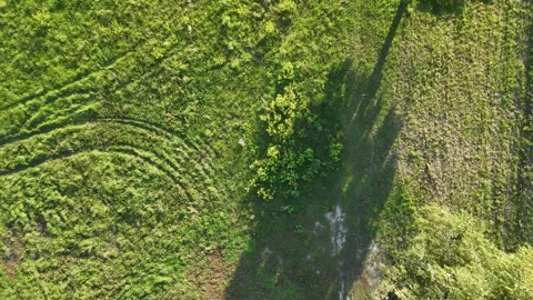 Overhead View of Lush Green Grassy Field with Shadows Video stock 290809764