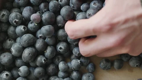 Overhead view of male hand scooping handful of fresh blueberries from full .. Stock Footage 336807510