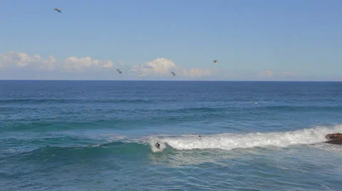 A overhead view of a man surfing the waves at Bronte beach Stock Footage 36685555