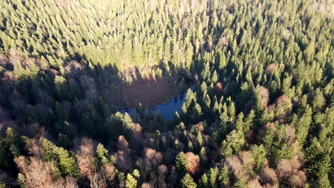 Overhead view of mountain forest with small lake Stock Footage 174279104