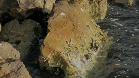 Overhead view of multiple colored rocks on edge of seawall. Wave water crashes o Stock Footage 271071484