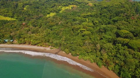 Overhead view of ocean waves crashing on sandy shore with dense forest in Costa Stock Footage 344914195