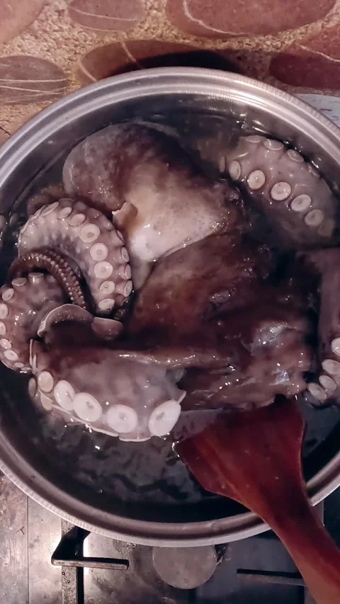 Overhead view of an octopus boiling in a pot on the stove  Stock Footage 324488608