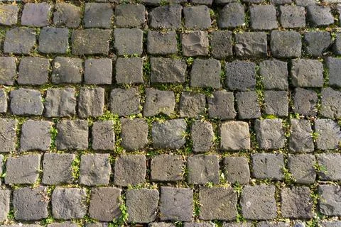 Overhead view of old cobblestone pavement with green weeds in joints Stock-Fotos