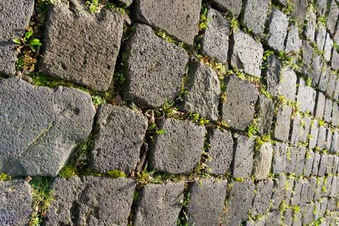 Overhead view of old cobblestone pavement with green weeds in joints Stock-Fotos