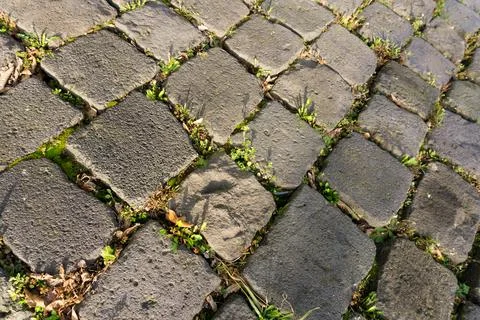 Overhead view of old cobblestone pavement with green weeds in joints Stock-Fotos