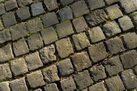 Overhead view of old cobblestone pavement with green weeds in joints Stock-Fotos
