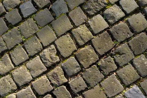 Overhead view of old cobblestone pavement with green weeds in joints Stock-Fotos