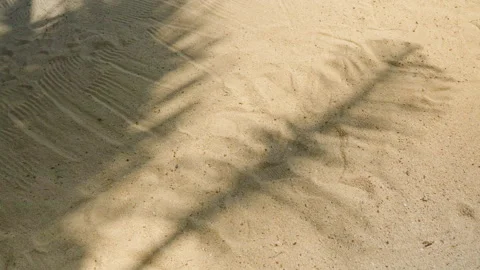 Overhead View of Palm Leaf Shadow on Smooth Beach Sand with Subtle Footprints Video stock 314445851