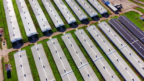 Overhead view of parallel farm barn rooftops with green strips, Bulgaria Stock Footage 335689090
