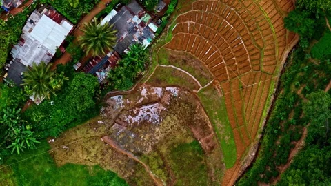 Overhead View of Patchwork Farmland and Rural Homes Near Tea Factory in Uva Video stock 337240847