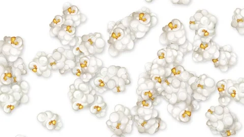 Overhead View of Popcorn Kernels Popping and Moving on White Background Stock Footage 345316957