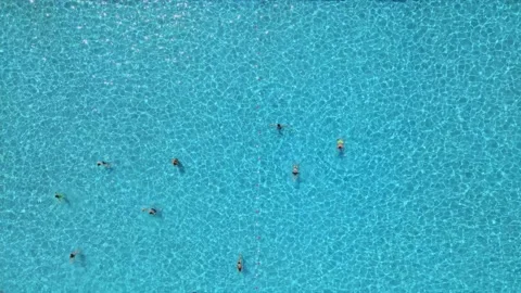 Overhead view of public city pool at sunny hot day people swimming Stock Footage 156865792