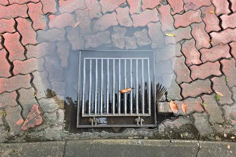Overhead view on puddle of water on clogged drain outlet with leaf Stock Photos