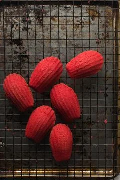 Overhead view of red madeleines cake or cookies on baking rack Stock Photos