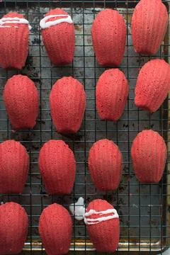 Overhead view of red madeleines cake or cookies on baking rack Stock Photos