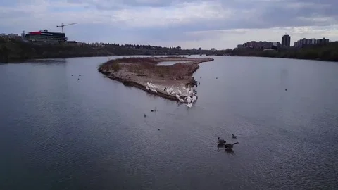 Overhead view of river bed Stock Footage 77711121