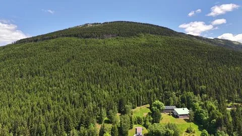 Overhead view of rolling evergreen forest across hillside with valley campu.. Stock Photos