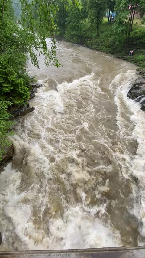 Overhead View of Rushing Carpathian River in Summer Stock Footage 311276318
