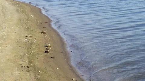 An overhead view of a sandy riverbank with small waves and a gentle current Stock Footage 315439956