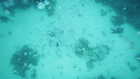 Overhead view of scuba divers and bubbles rising Video stock 170029114