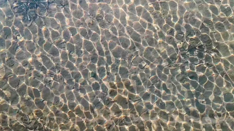 Overhead view, shining clear water, background, Video stock 255226994