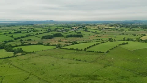 Overhead view shows rolling green fields divided by hedgerows Stock Footage 345525333