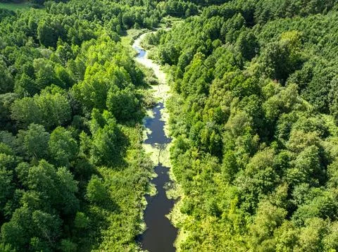 Overhead view of a sinuous river and marsh in Poland. Stock Photos