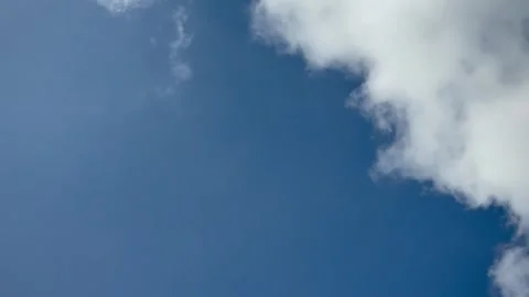 Overhead view of sky and tree footage,bright and fresh with sunlight at day.. Stock Footage 332689975