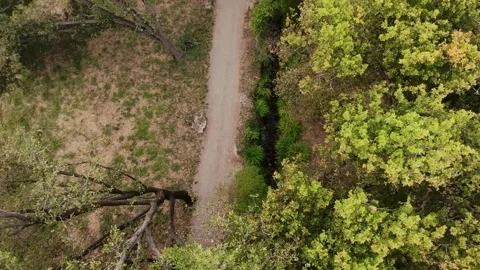 Overhead view of a small dirt road among trees, inside a park Stock Footage 327752112