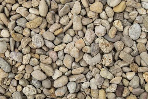 Overhead view of small light colored stones and pebbles spread across the g.. Stock-Fotos