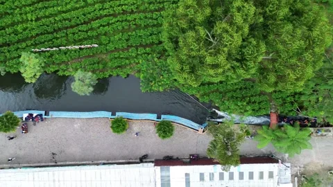Overhead view of a small river and green forest near a village, showing a com Stock-Footage 302155726